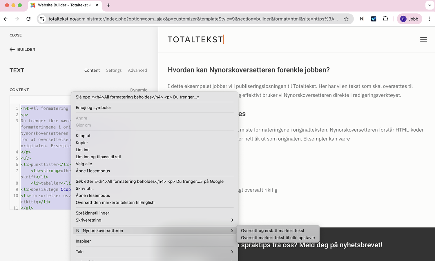 Skjermbilde av Nynorskoversetteren